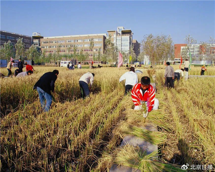 俞孔坚教授:愿您在为之热爱的地球上安息