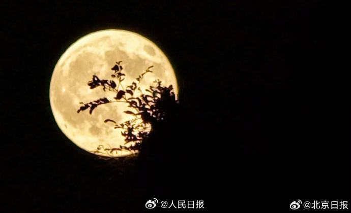 十六的月亮圆了 360度无死角的大圆月亮