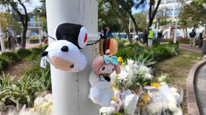 香港大埔火灾一周,那些被记录的和不被记录的瞬间