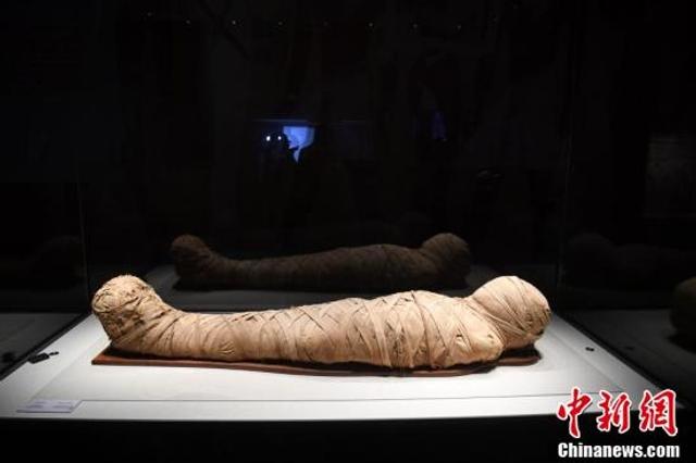 埃及木乃伊特展亮相安徽博物馆