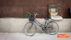 春运故事：五尺扫帚丈量羊城