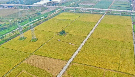 社区新闻：惠州石湾镇站街实测｜避坑指南与安全出行建议🔥