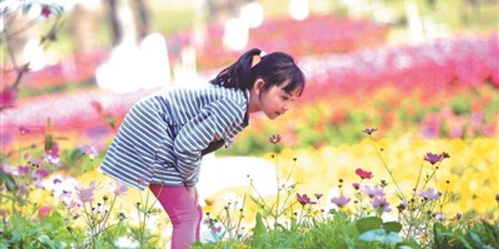 东莞市疾控中心提醒:春游赏花小心花粉过敏