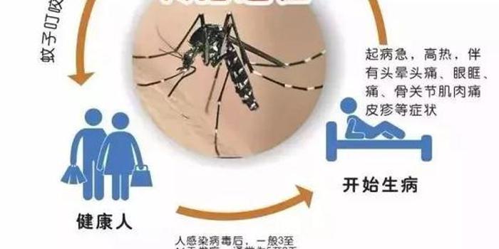 8例登革热病例 榕城启动iv级公共卫生事件应急响应