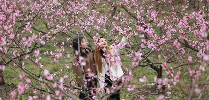 春暖花开 人们享受美好春日