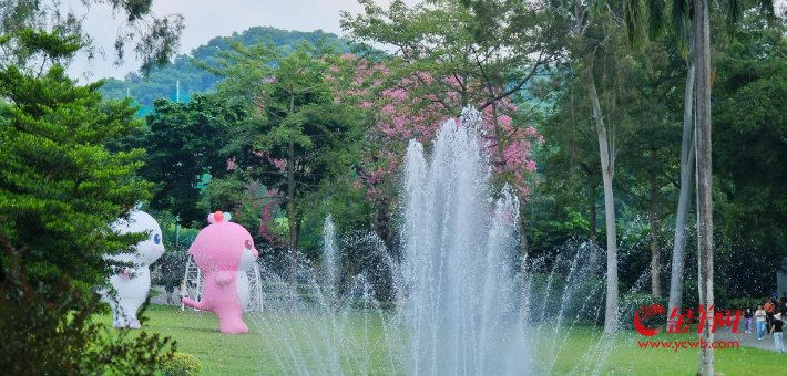 异木棉花与十五运吉祥物撞满怀