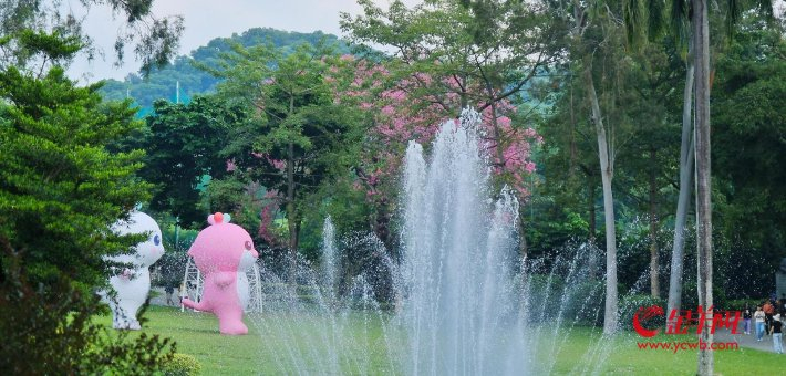 异木棉花与十五运吉祥物撞满怀