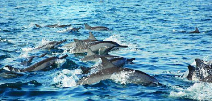 阿曼遗产和旅游部举办广州媒体分享会