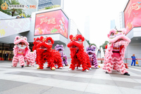 “梦马吉遇”贺新岁：花城汇新春系列活动圆满收官 醒狮纳福开启丙午新程