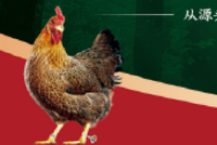 天农集团2026广东315高品质农产品分论坛即将举行