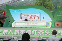 英德春启 头采飘香 2026年第八届英德红茶头采季活动成功举办