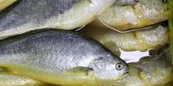 广州百佳超市卖变质黄花鱼被立案 25条已销售