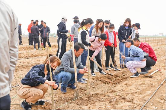 来自全国各地的体验官们在技术人员的指导下,现场体验枸杞种植