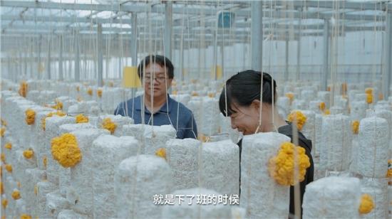 陈佐东医生夫妇学习金耳种植技术