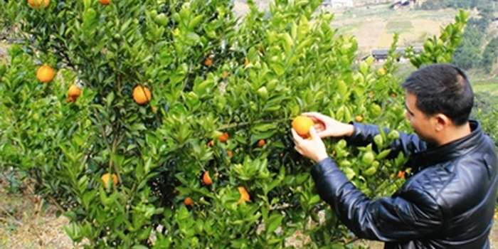 聚焦攻坚重点难点凝聚合力 确保如期实现减贫