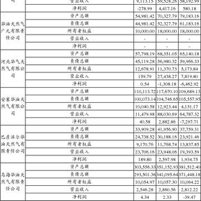 安徽华信国际控股股份有限公司公告(系列)