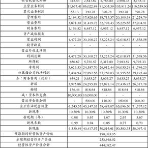 安徽华信国际控股股份有限公司公告(系列)