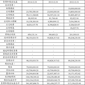 杭州先锋电子技术股份有限公司首次公开发行股