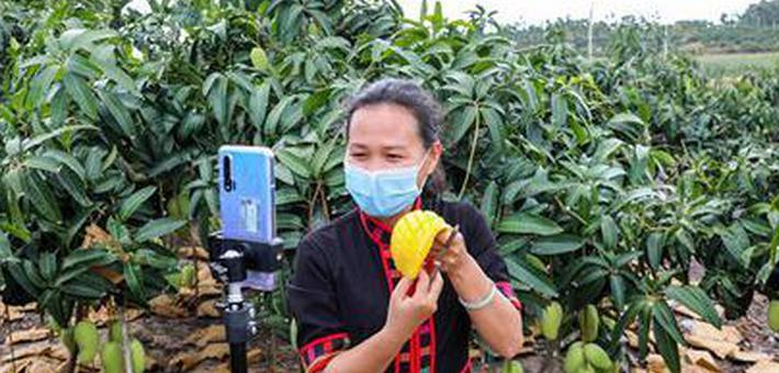 果农变身电商“主播”