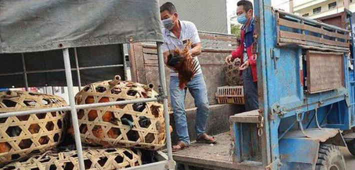 秀英区多举措破“滞销”难题