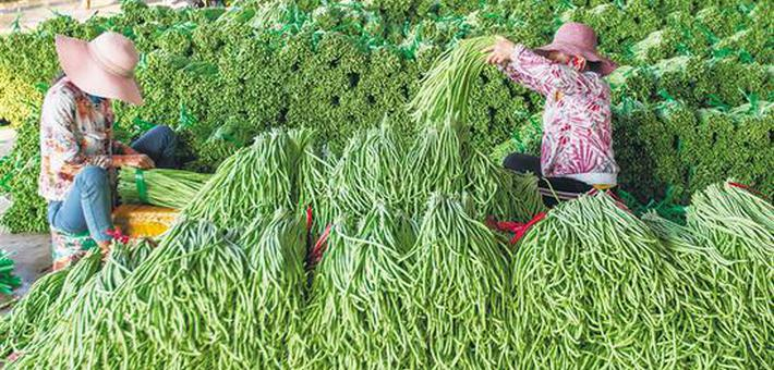 战“疫”不误好春光