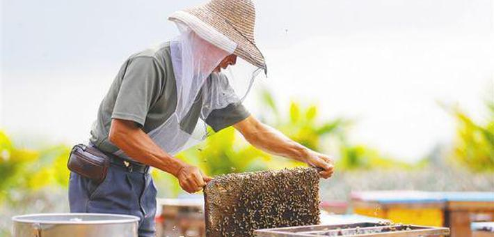 春天 约会“甜蜜事业”