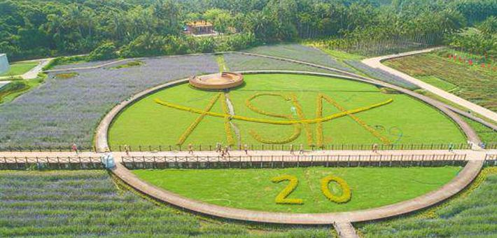 琼海博鳌：百亩鲜花 绽放迎宾