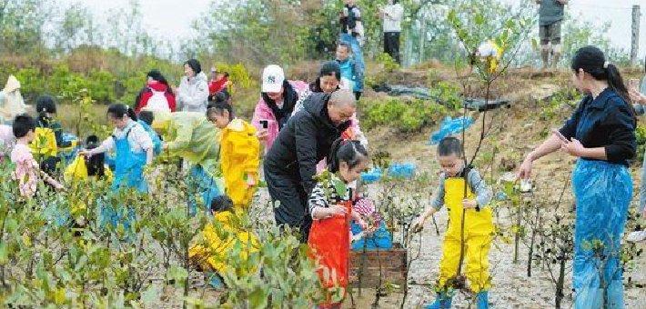 亲子家庭相约海南东寨港种植红树