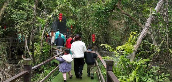 临高元旦文旅融合亮点纷呈喜迎“开门红”