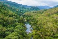 海南热带雨林国家公园首批生态搬迁工作今年启动
