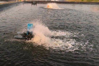 昌江昌化江入海口成為新晉“網(wǎng)紅”打卡點(diǎn)