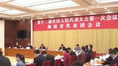 海南代表团审议宪法修正案草案 刘赐贵沈晓明等参加