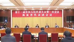 海南代表团向大会提交五件议案 建言国家建设