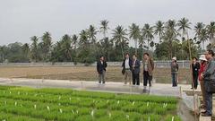 外地代表委员看海南：期待海南建设南繁国家实验室