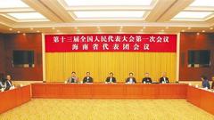 海南代表团审议国务院机构改革方案 肖捷刘赐贵参加