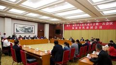 海南代表团审议全国人大常委会工作报告 刘赐贵参加