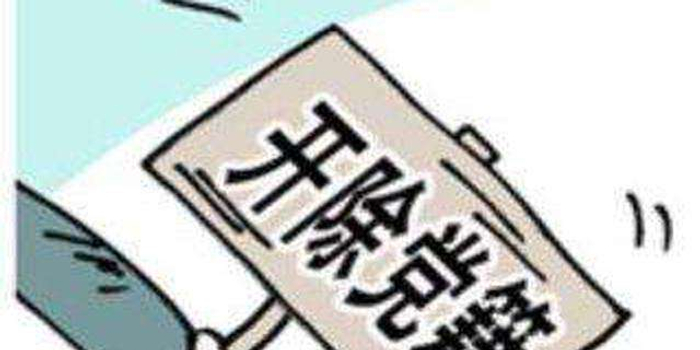 黄石市中心医院原副院长王芳被开除党籍和公职