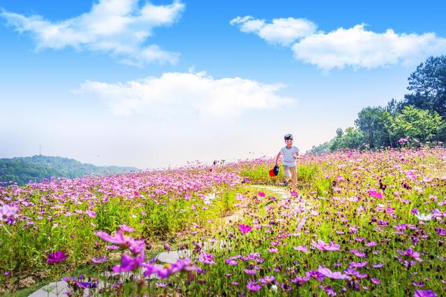 真值得去！英山四季花海景区