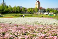 武汉这些景区，一半人限时免费