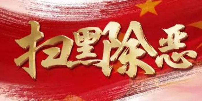 武汉警方纵深推进扫黑除恶 以9个重点领域为突