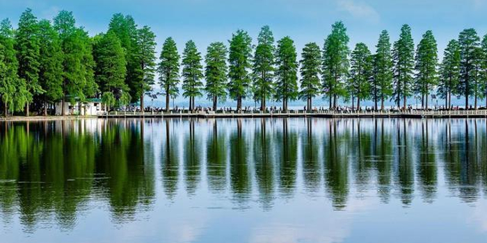 五一出行预测报告出炉 武汉两地上榜全国十大