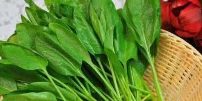 想吃菠菜怕草酸多 一招快速去除