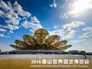 你与世界隔了一次相遇