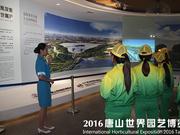 世园会志愿者开展庆七一主题活动