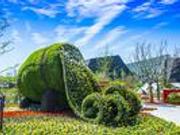 世界帆船之都带你远航 青岛园