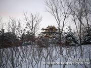 唐山：大雪妆点南湖别样美景