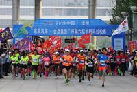 2019年沧州半程马拉松比赛开跑 20多万人共同观看