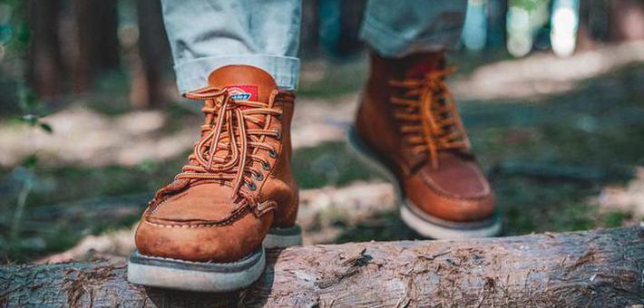 六部旅行综艺带你做世界的追风人