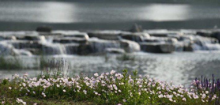 郑州：小瀑布与满地花相映