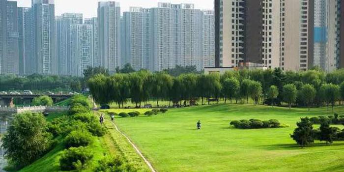 绿化城市排名_城市绿化